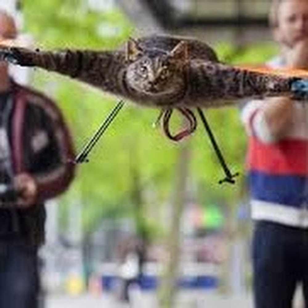 Meet your Posher, Shawn